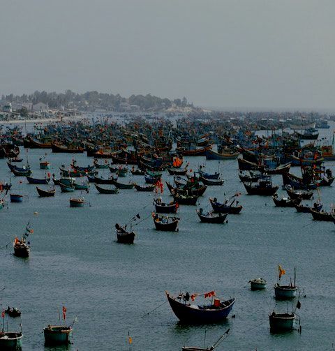 Ngư nghiệp